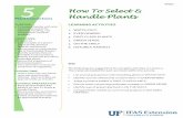 5 How To Select & Handle Plants Plant Connections …edis.ifas.ufl.edu/pdffiles/4h/4H36200.pdfBASICS on How To Select & Handle Plants. Review activities and choose appropriate one(s)