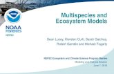 Multispecies and Ecosystem Models · Multispecies and Ecosystem Models Sean Lucey, Kiersten Curti, Sarah Gaichas, Robert Gamble and Michael Fogarty . NEFSC . NEFSC Ecosystem and Climate