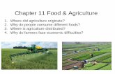 Chapter 11 Food & Agriculturedochnahlaphug.weebly.com/uploads/2/8/0/4/2804932/intro... · 2018-10-10 · Third Agricultural Revolution Since 1960s - hybridized grains for better yields