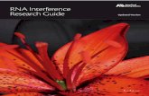 RNA Interference Research Guide · 2017-09-19 · gene silencing results from destruction of mRNA that is complementary to the input siRNA (2) or the siRNA molecules created by Dicer