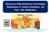 Wayne Hunter, - BIO · Shown in Plants Introduction of a transgenic copy of the Chalcone synthase in petúnia plants resulted in a suppression of the endogenous gene. Napoli et al.,