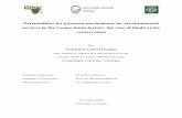 Potentialities for payment mechanisms for environmental … · Potentialities for payment mechanisms for environmental services in the Congo Basin forests: the case of biodiversity