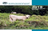 GRSB Sustainability Report - grsbeef.org · PAGE 2 - GRSB Sustainability Report 2018 ... Animal Health and Welfare, Food, Eﬃciency and Innovation, the national roundtables and initiatives