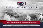 A World Class Higher Education and Veterinary Facility...BSc Veterinary Physiotherapy Equine-Librium is Registered, Accredited and Approved with DHET, CHE, SAQA and SAVC 2018/HE07/004