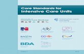 Core Standards for Intensive Care Units · Core Standards for Intensive Care Units Edition 1 / 2013 DEFINITION DEFINITION . An Intensive Care Unit (ICU) is a specially staffed and