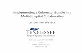 Implementing a Colorectal Bundle in a Multi Hospital ...web2.facs.org/download/Martin.pdf · surgical teams how to improve outcomes. TSQC Goals • Create a consortium of surgeons
