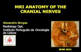 MRI ANATOMY OF THE CRANIAL NERVES - GEYSECO · 2018-01-31 · MRI ANATOMY OF THE CRANIAL NERVES Alexandra Borges Radiology Dpt. Instituto Português de Oncologia de Lisboa SENR 2014