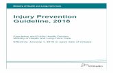 Injury Prevention Guideline, 2018 - Ministry of Health · Ministry of Health and Long-Term Care . Injury Prevention Guideline, 2018 Population and Public Health Division, Ministry