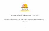 MY PROFESSIONAL DEVELOPMENT PORTFOLIO - SACE · 3 SECTION 1 Summary of My Roles, Responsibilities and My Work (The summary of my roles, responsibilities and work should assist me