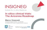 In silico clinical trials: The Avicenna Roadmap · 2019-08-01 · In silico clinical trials! • In silico clinical trials: the use of computer simulation in the development and in