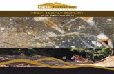 HALF YEARLY REPORT - NEW TALISMAN GOLD MINES · 2 | NEW TALISMAN GOLD HALF YEARLY REPORT 2016 DIRECTORS’ REPORT The directors of New Talisman Gold Mines Ltd are pleased to provide