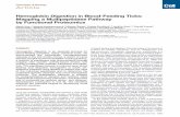 Chemistry & Biology Article - Stanford Medicinemed.stanford.edu/bogyolab/pdf/HornetalChemBio.pdf · Chemistry & Biology Article Hemoglobin Digestion in Blood-Feeding Ticks: Mapping