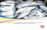 Guidelines on ASEAN Good Aquaculture Practices (ASEAN GAqP ... · Aquaculture and the production of for local consumption and Food Fish international trade is becoming very important