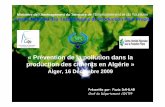 « Prévention de la pollution dans la production des ... · « Prévention de la pollution dans la production des ciments en Algérie » Alger, 16 Décembre 2009 Présentée par: