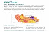 Ear eczema factsheet · Inflammation of the ear canal is called otitis externa and has a number of causes. It is important to focus on the prevention and control of otitis externa