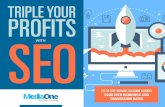 TRIPLE YOUR PROFITS SEO - MediaOne · content, and images to induce maximum searchability On-page Opimisaion 2 refers predominantly to opimising backlinks (which are links poining