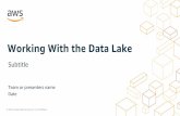 Working With the Data Lake · Session’s Focus –Query the The Data Lake Catalog & Search Access & User Interfaces Data Ingestion Analytics & Serving S3 Amazon DynamoDB Amazon Elasticsearch