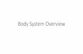 Body System Overview - Mrs. Morgan•Circulatory system carries CO2 to lungs •Respiratory system removes CO2 from body •Give an example of 2 body systems working together to get