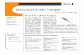 CAJAL BLUE BRAIN PROJECT · Ruth Benavides Piccione, PhD, member of the Cajal Blue Brain Project, has been announced as the win-ner of the 2009 Krieg Cortical Kudos award (Cortical