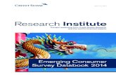 Emerging Consumer Survey Databook 2014 - Iberglobal · Emerging Consumer Survey Databook 2014 Research Institute ... (past, present and future) and general lifestyles and aspirations