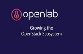 Growing the OpenStack Ecosystem€¦ · OpenStack in the Public Cloud 5 25 public cloud hosting providers With 20+ data centers Across 6 continents. Cloud is an Ecosystem Value Proposition