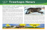 Treetops News - Friends of the Koala Inc. · Treetops News Page 1 Summer/Autumn 2018 ... full of dirt, possibly due to a tummy upset from poor diet, or perhaps she was just very hungry.