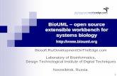 BioUML – open source extensible workbench for …sbml.org/images/f/fa/20041014-kolpakov-biouml.pdf2004/10/14  · layer for comprehensive formal description of wide range of biological