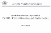 Juvenile Probation Department FY 2018 FY 2019 Operating and Capital Budget · 2019-07-12 · Budget FY 2017 - FY 2018 FY 2018 - FY 2019 U.S. Administration for Children and Families,