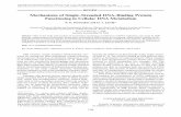 Mechanisms of Single-Stranded DNA-Binding Protein Functioning in Cellular DNA Metabolismprotein.bio.msu.ru/biokhimiya/contents/v73/pdf/bcm_1388.pdf · 2009-02-15 · SSB proteins