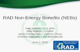RAD Non-Energy Benefits (NEBs) - US EPA · 2016-09-01 · RAD Non-Energy Benefits (NEBs) Sally Hamlin—U.S. EPA Mike Butkus—ComEd Jason Christensen—Cadmus Group Christine Gajewski—ICF
