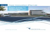Proposed Business Plan for CPUT Incubator, incorporating a ... 1.1. BACKGROuND tO Cput The Cape Peninsula