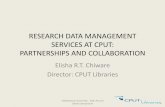 RESEARCH DATA MANAGEMENT SERVICES AT CPUT: PARTNERSHIPS ... â€¢CPUT eResearch Centre â€“ A coordinating