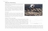 Shark finning - wsfcs.k12.nc.us · PDF file Shark finning 1 Shark finning NOAA agent counting confiscated shark fins Shark finning refers to the removal and retention of shark fins