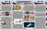 Shark 2015-12-14¢  Shark finning Shark finning is a torturous process that involves sharks being fished