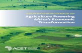 AFRICAN TRANSFORMATION REPORT 2017 …acetforafrica.org/acet/wp-content/uploads/publications/...Rural Development and Transformation ACET. 2015a. “Ghana Country Report.” Promoting