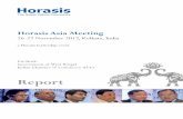 Horasis Report Asia Meeting 2017 · integration between the nations and busi - nesses with implementation being the focus.’ ASEAN however is a complicated institu-tion with new