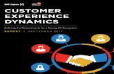 CUSTOMER EXPERIENCE DYNAMICS - Telegraph · Team Hates You & Your Fellow Marketers” from Marketing Land in 2014 to “Everyone Hates Marketers” from 12 hours ago on a blog. There