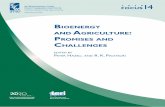 Bioenergy and Agriculture: Promises and Challenges from ...econ.tu.ac.th/class/archan/Rangsun/EC 460/EC 460... · BIOENERGY AND AGRICULTURE: PROMISES AND CHALLENGES FOR FOOD, AGRICULTURE,