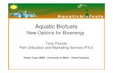 Aquatic Biofuels - AquaCircle · Aquatic Biofuels – Challenges, Opportunities and Gains Algae • Cost intensive especially for Photo Bio-Reactors may be suitable for Higher Income