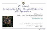 Ionic Liquids: A New Chemical Platform for CO2 Separationspurdue.edu/discoverypark/energy/assets/pdfs/cctr/cctr-meetings/june2009/cctr-schneider...Ionic Liquids: A New Chemical Platform