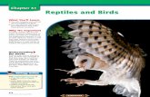 Chapter 31: Reptiles and Birds › cms › lib › AZ...Reptiles reproduce on land Most reptiles reproduce by laying eggs on land, as shown in Figure 31.3. Some snakes give live birth