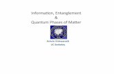 Informaon,*Entanglement* Quantum*Phases*of*Maer*qpt.physics.harvard.edu/simons/Vishwanath.pdf · 2013-02-20 · 2Cu[N(CN) 2]Cl, which is a Mott insulator (25) with a sizable anisotropy