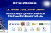 Biofuels/Biomass - University of Floridafloridaenergy.ufl.edu/wp-content/uploads/FL-Energy... · 2018-01-16 · Florida Crystals Corporation, Palm Beach County, FL - one of America's