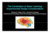 The Cerebellum & Motor Learning:The Cerebellum & Motor ... · The Cerebellum & Motor Learning:The Cerebellum & Motor Learning: Experimental Design Considerations Rachael D. Seidler,