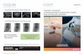 Final Probe Placement Using Ultrasound COOLIEF* COOLED RF€¦ · ULTRASOUND AND FLUOROSCOPIC-GUIDED KNEE TECHNIQUES OVERVIEW For longer-lasting relief of osteoarthritis knee pain