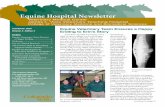 Equine Hospital Newslettercsu-cvmbs.colostate.edu/Documents/equine-medicine... · 2013-01-04 · 2 Welcome A Happy Ending, continued from page 1 Dear Friends, Welcome to our holiday,