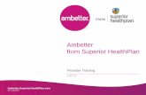Ambetter from Superior HealthPlan › content › dam › centene › ...• Dependent coverage to age 26 • Pre-existing condition insurance plan (high-risk pools) • No lifetime