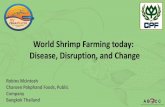 World Shrimp Farming today: Disease, Disruption, and Change · Summary of trends to “pond efficiency” •Smaller Ponds: 1000-4000M2 •Central Sumps for continuous removal of