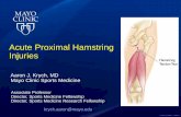 Acute Proximal Hamstring Injuries - ce.mayo.edu · Acute Hamstring Tears: Etiology and Mechanism • 12% of hamstring injures involve a tear or avulsion of the proximal hamstring