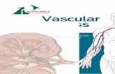 Vascular Access - edtnaerca.org · Vascular Access Cannulation and Care A Nursing Best Practice Guide for Arteriovenous Fistula This book is an initiative of Maria Teresa Parisotto